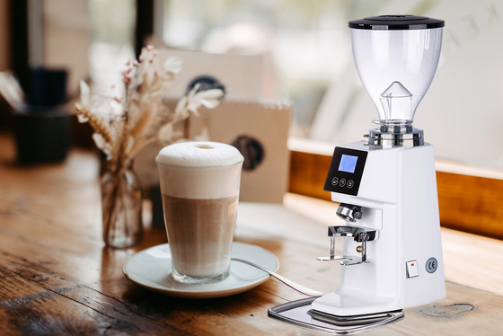 Komersial Grade Doserless Coffee Grinder Baja tahan karat 370W Dengan Beanglass 110V